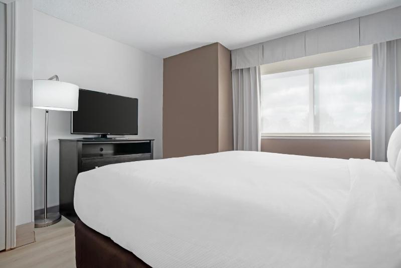 1 King Bed, Suite, 2 - Person Sofabed image 2