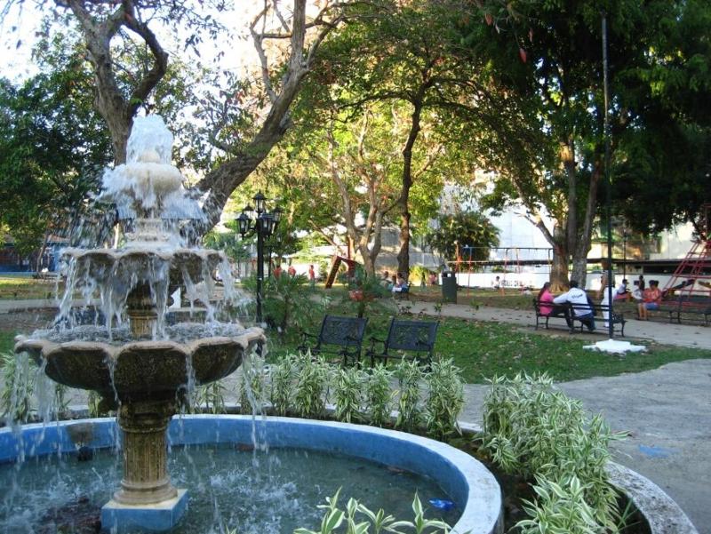 A unique garden oasis nestled in the heart of Panama City- El Cangrejo - image 7