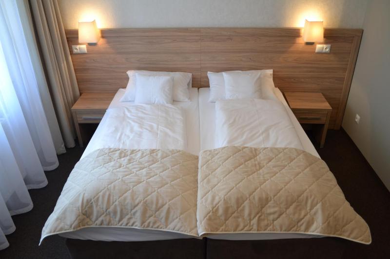 Double or Twin Room image 1