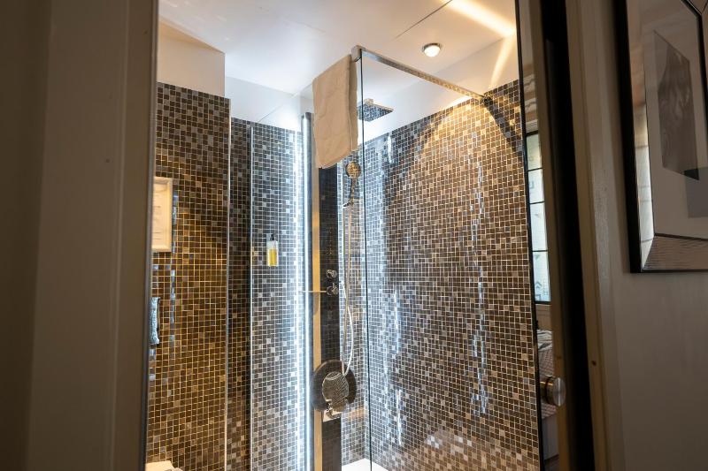 Hotel Le Meurice - image 10