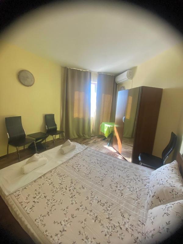 AMADEUS 5 - image 4