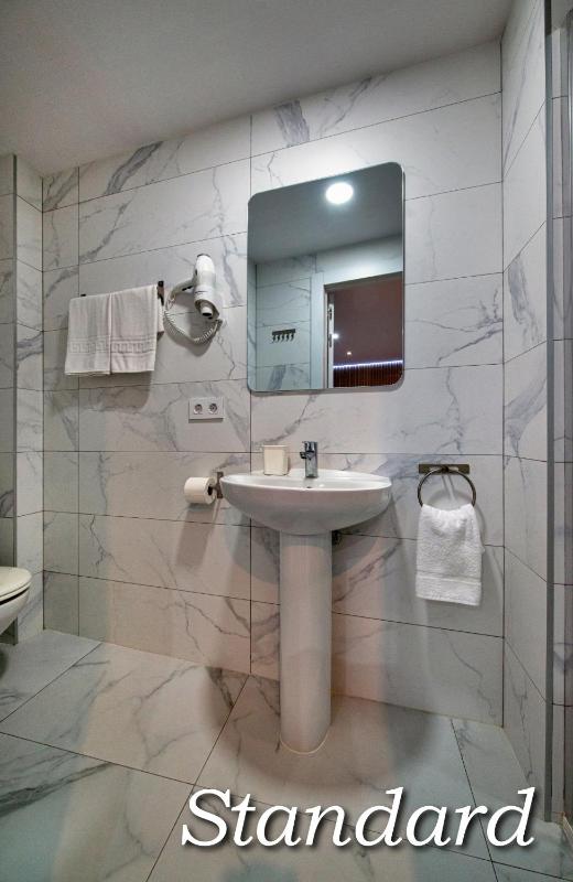 Double or Twin Room image 3