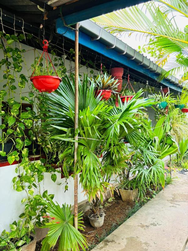 Pranu House - image 23