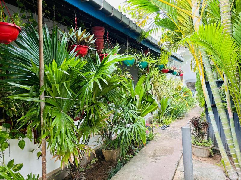 Pranu House - image 7