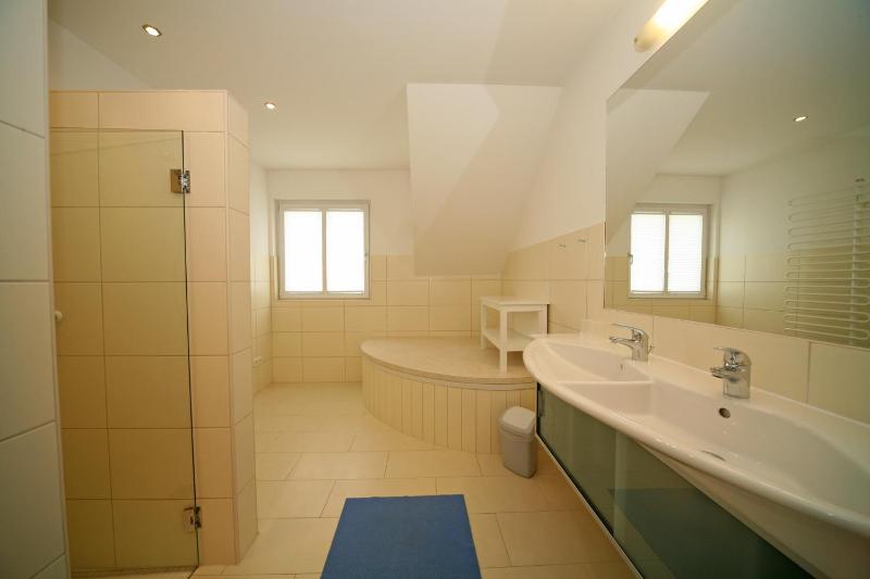 Apartment - Split Level image 2