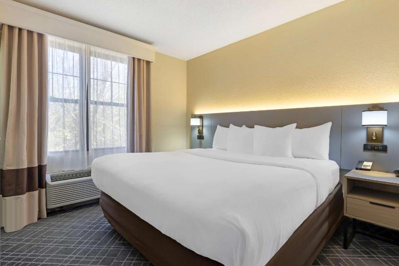 Superior King Suite - Non-Smoking image 4