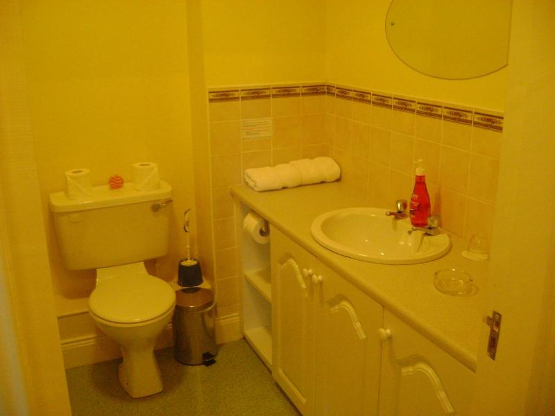 One-Bedroom Apartment image 4