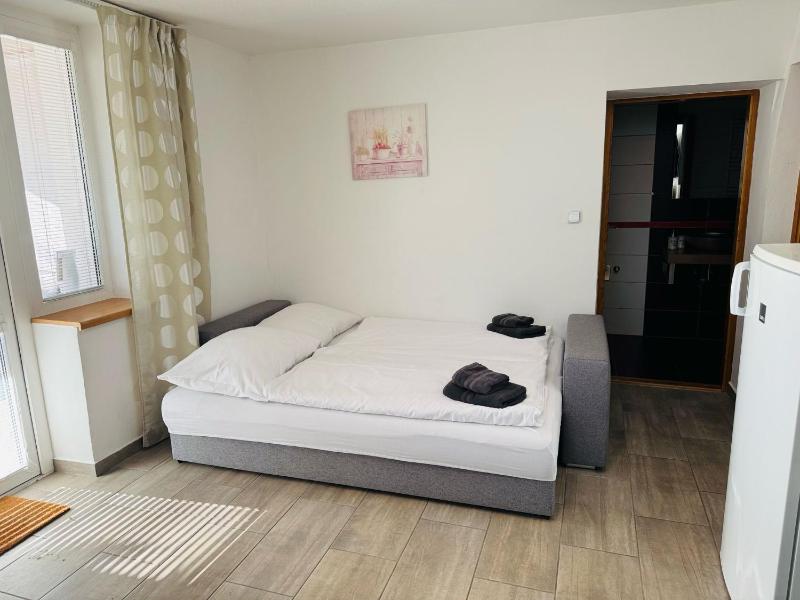 Apartment with Terrace image 4