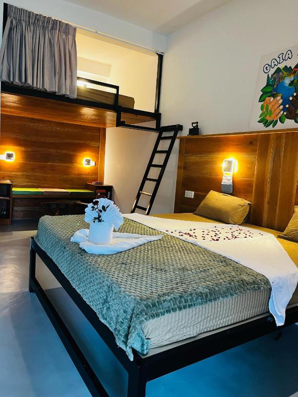 GAIA ELLA Ecolodge and Yoga Centre - image 16