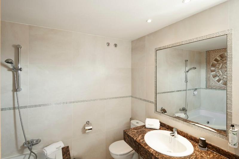 Superior Double Room image 4