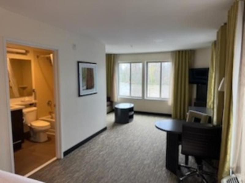 King Studio Suite image 2