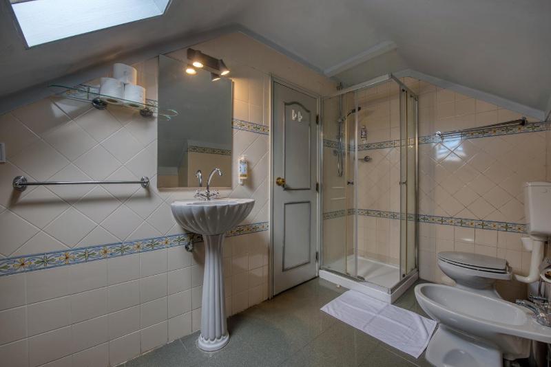 Standard Twin Room image 4
