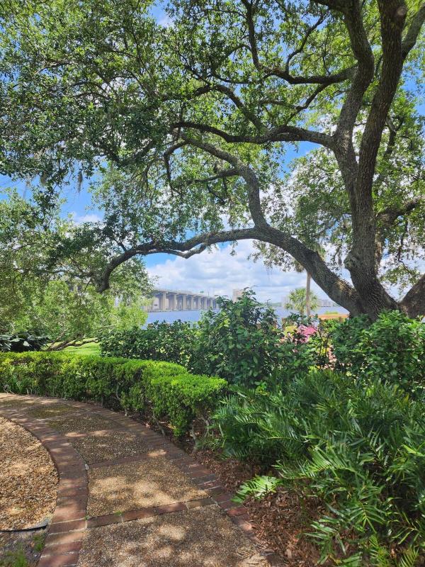 Relaxing Modern 2BR Home - King Bd - Near DT JAX - image 16