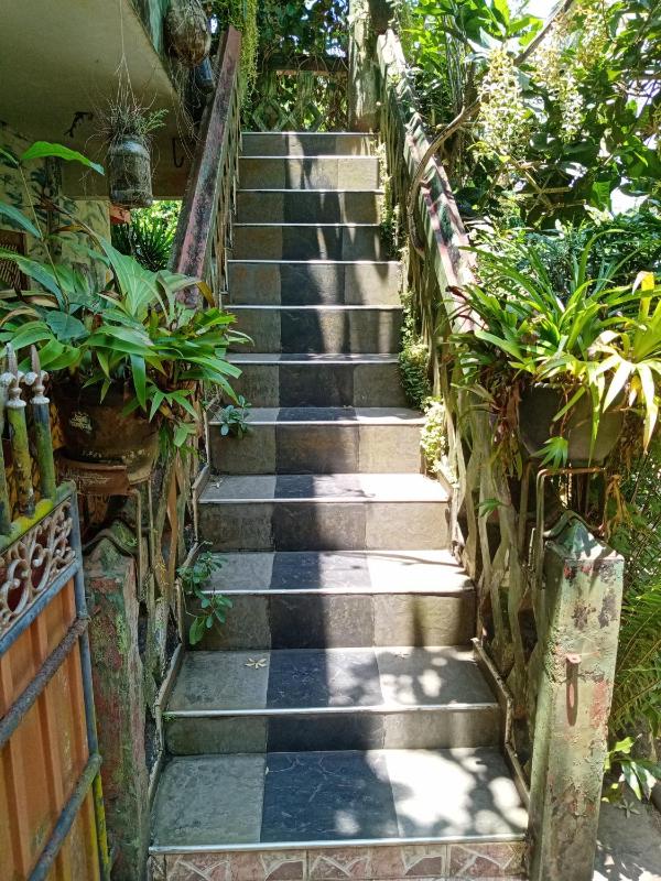 Cool Villa - image 5