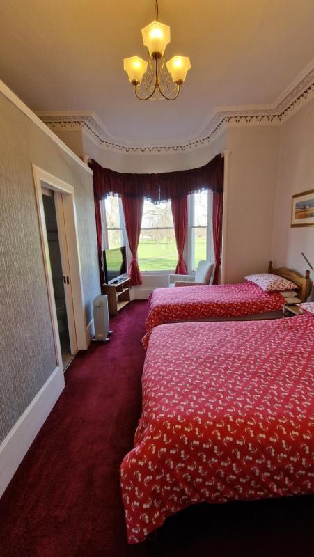 Double or Twin Room image 4