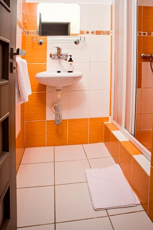 Deluxe Double or Twin Room image 1