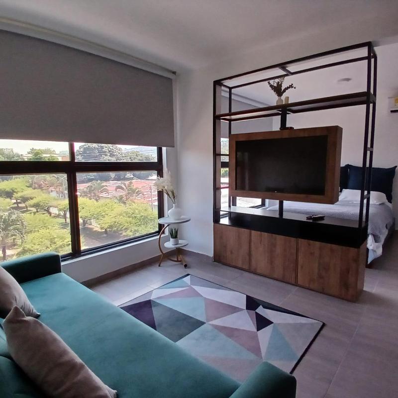 Apartaestudio Moderno Miró - image 9