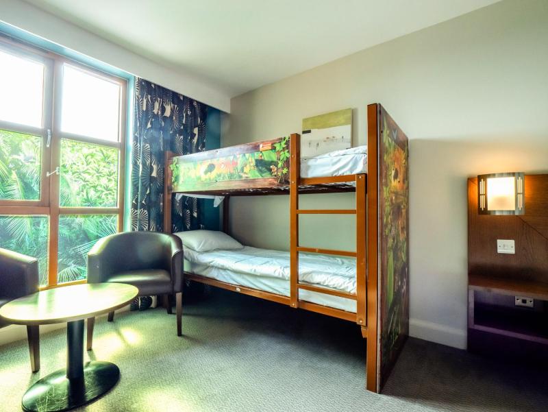 Safari Twin Room with Bunk Beds image 4