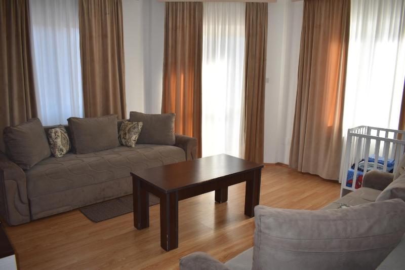 One-Bedroom Suite image 2