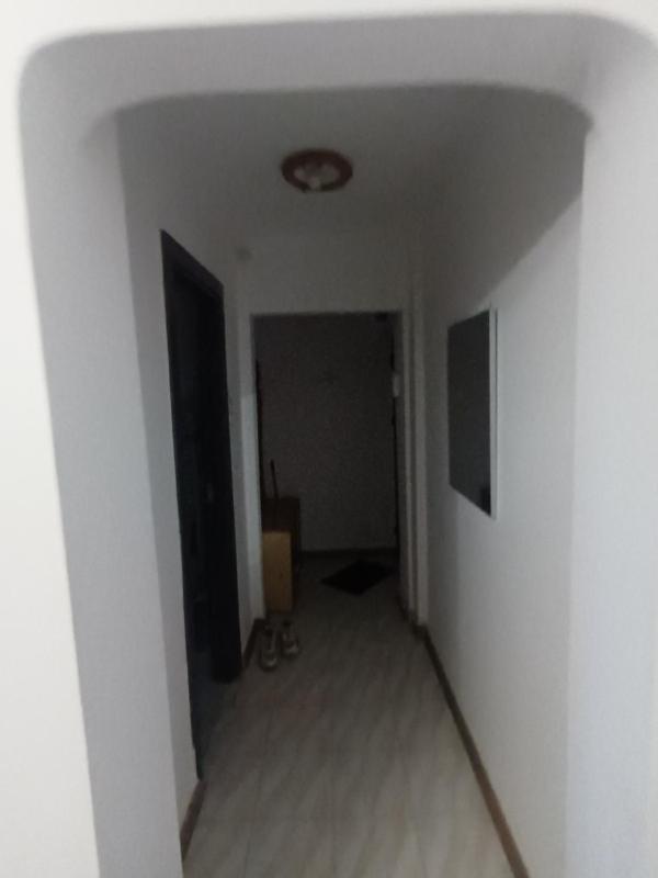 Bosnea - image 3