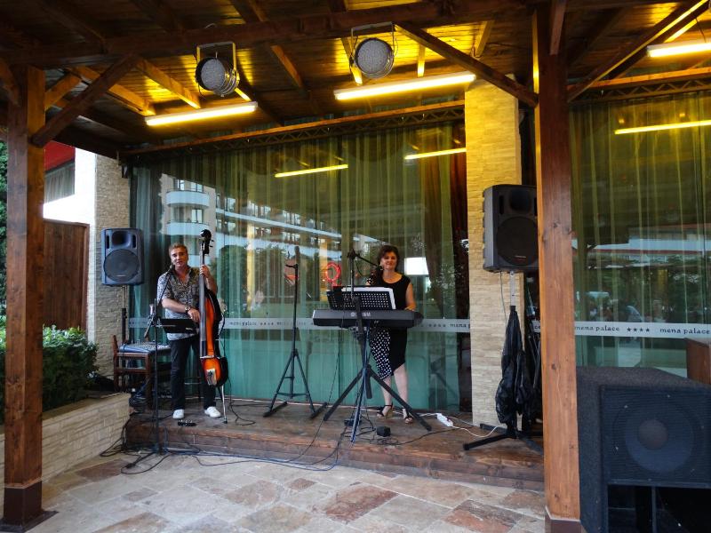 Mena Palace Hotel - All Inclusive - image 43