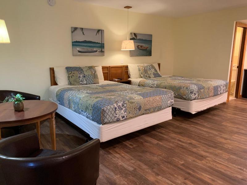 Deluxe Room, Refrigerator & Microwave (Not Pet Friendly)  image 1