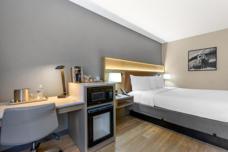 King Room - Non Smoking image 2
