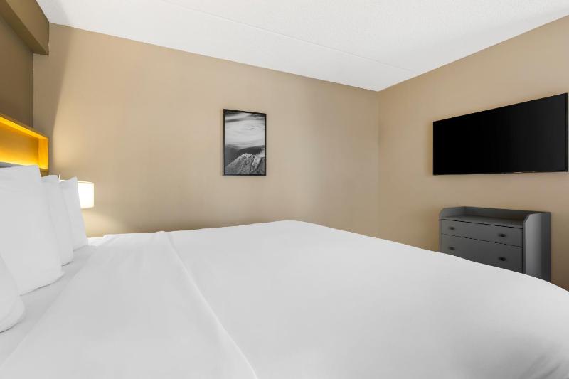 King Studio Suite - Non Smoking image 3
