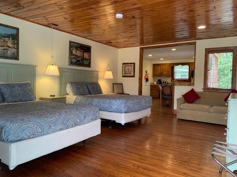 Deluxe Suite, Kitchen, Courtyard Area image 1