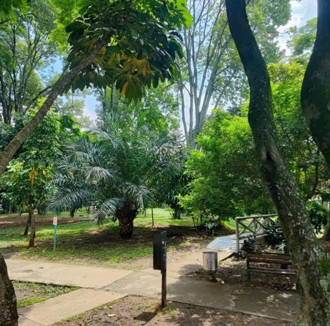 Jungle House Medellin - image 9