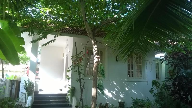 Coconut Grove - image 12