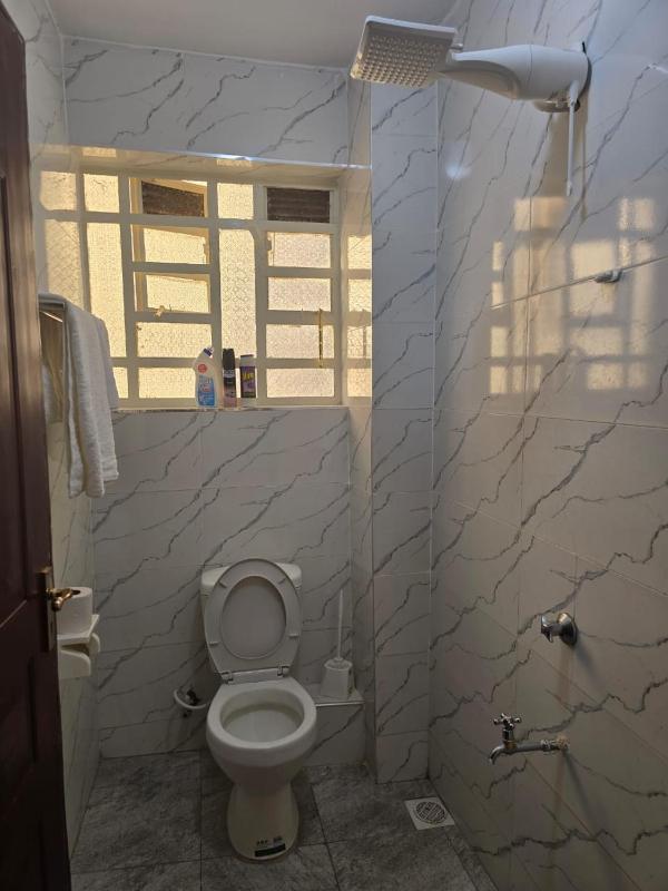 Aza-Lux 1 BR Nakuru - image 8