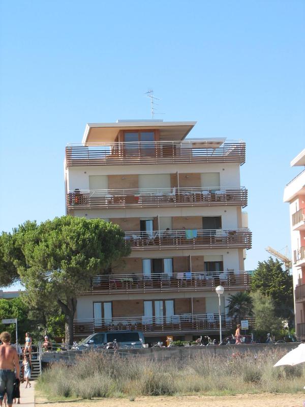 Monica - image 15