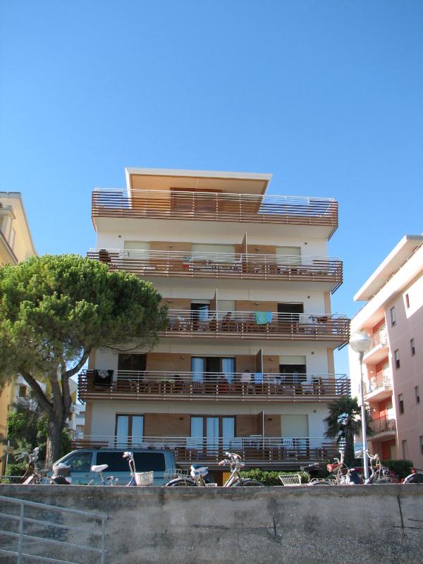 Monica - image 6