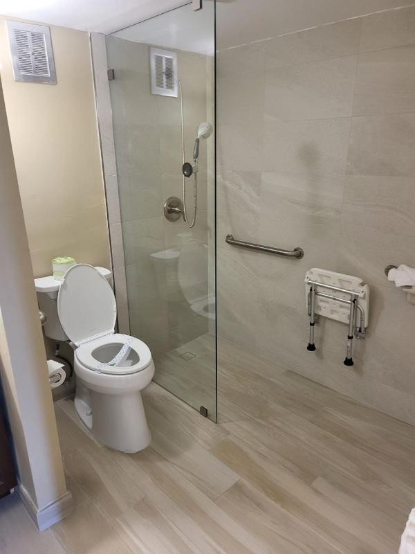 Double Room - Disability Access image 2