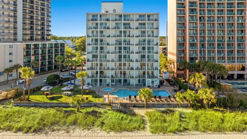 Indigo - image 9
