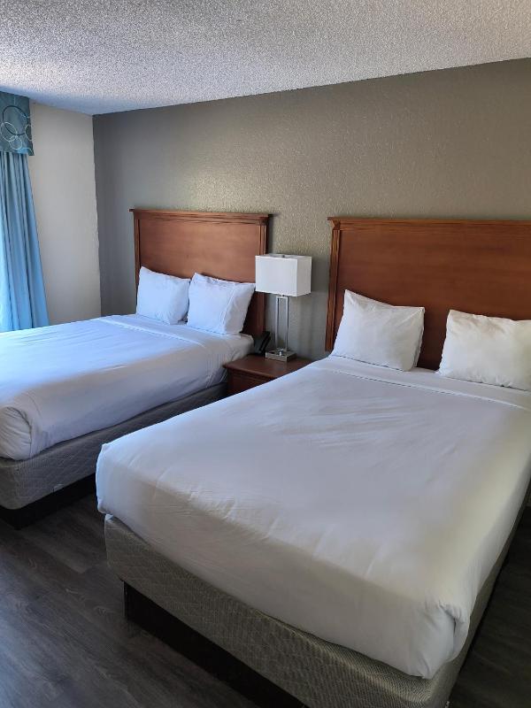 Double Room with Two Double Beds - Mobility Access/Non-Smoking image 3