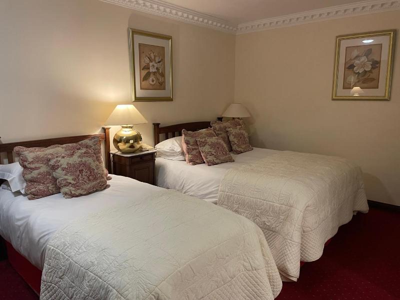Deluxe Twin Room image 3
