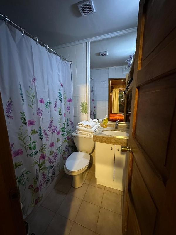 Hotel los maitenes - image 8