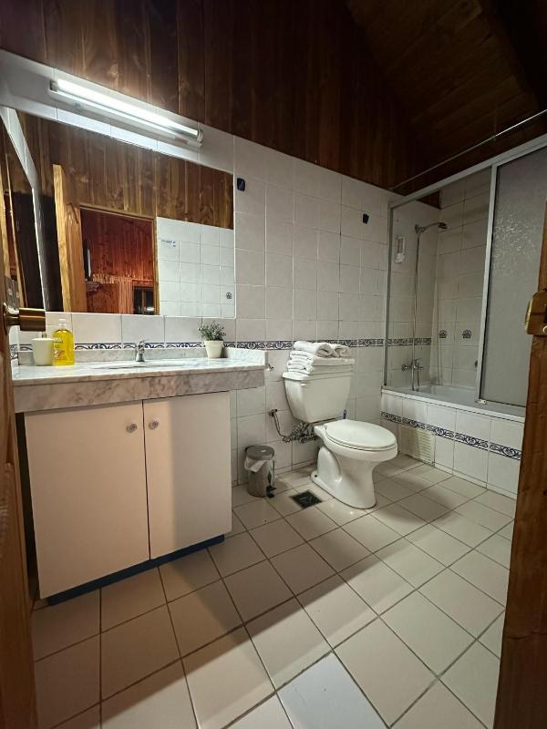 Hotel los maitenes - image 50