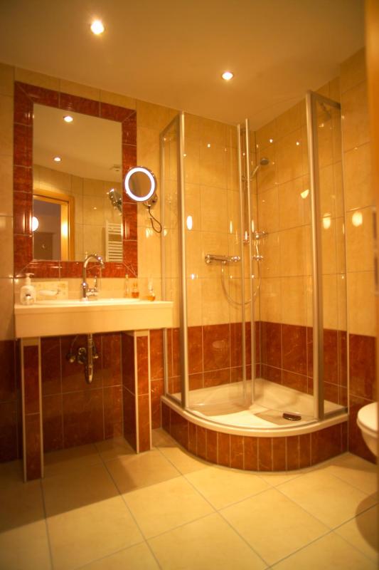 Classic Double Room image 4
