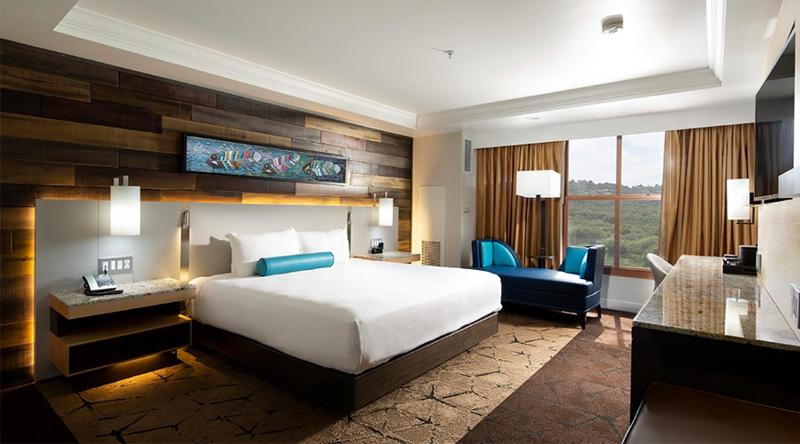 Deluxe Single Room image 1