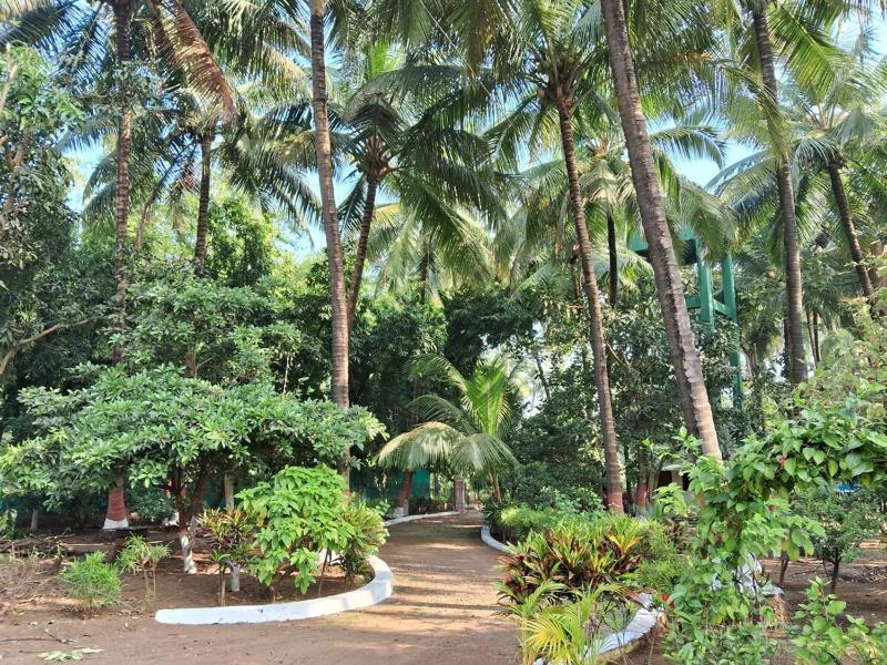 Shravansarri Homestay - image 7