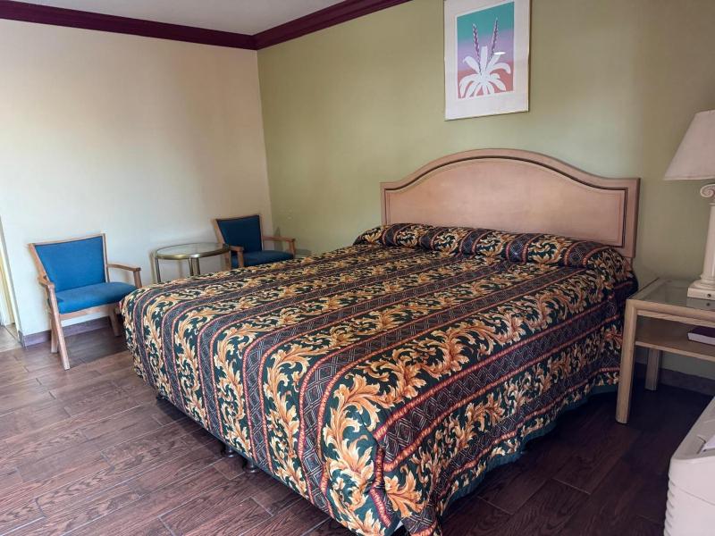 King Bed Non-Smoking image 1