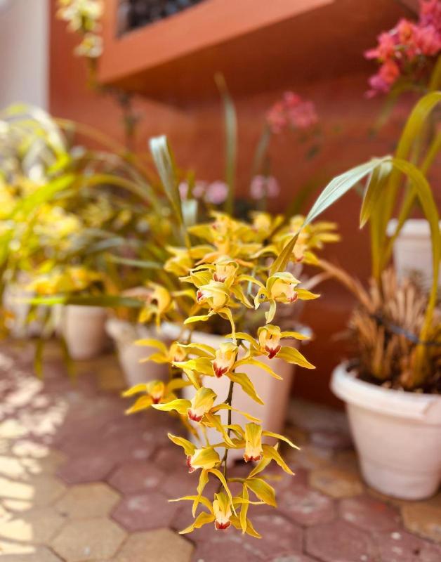 DIVINA AMORE Guest House - image 5
