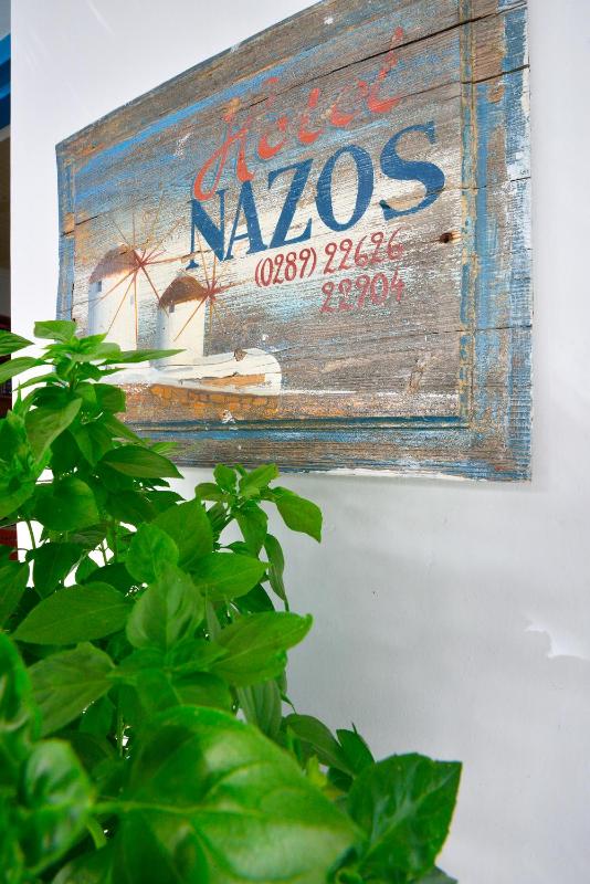 Hotel Nazos - image 12