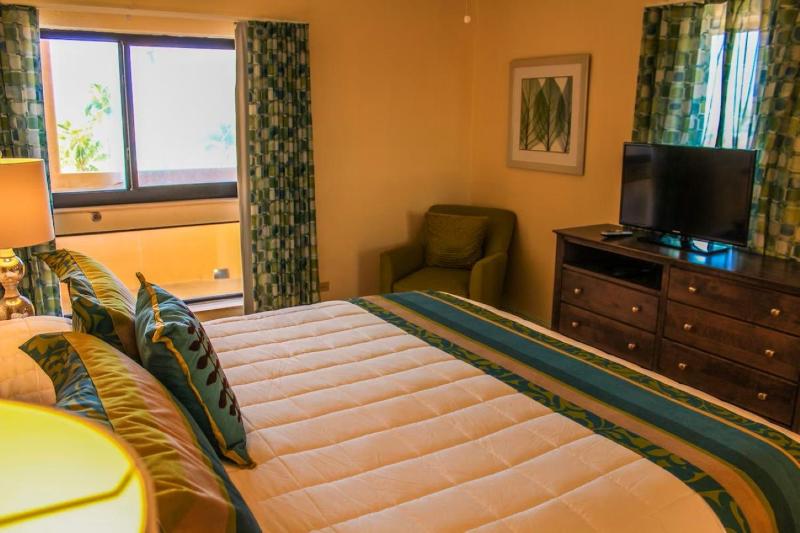 One-Bedroom Apartment image 4