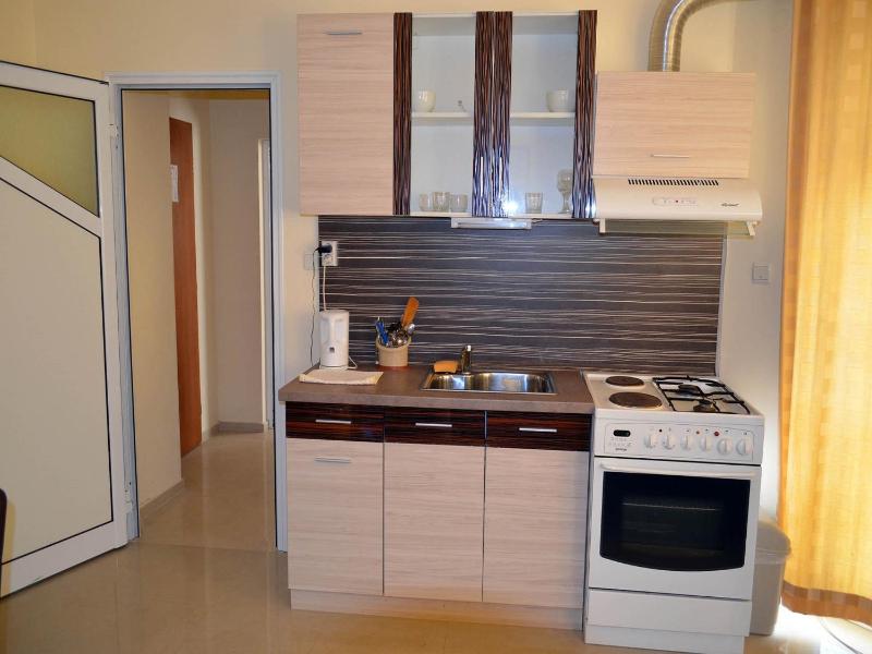 One-Bedroom Apartment image 2