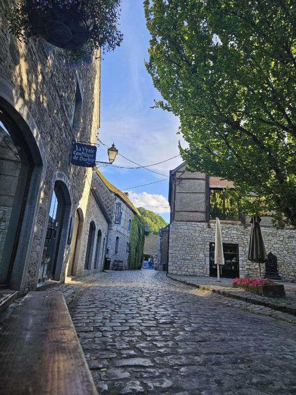 Apartment in the Heart of Durbuy - image 16
