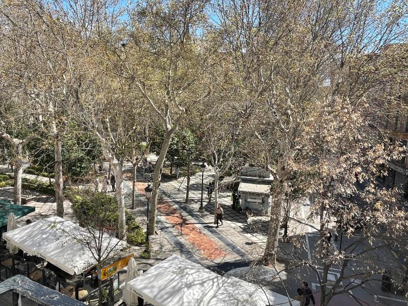 Double or Twin Room with Private Bathroom image 3